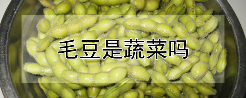毛豆是蔬菜吗 毛豆属于菜豆吗