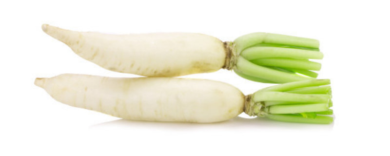 白萝卜水培步骤 水培白萝卜的方法和注意事项