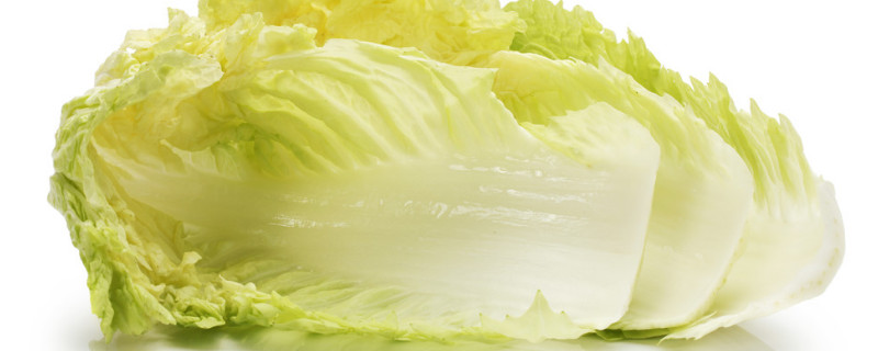 白菜种子怎么来的 白菜种子怎么来的视频