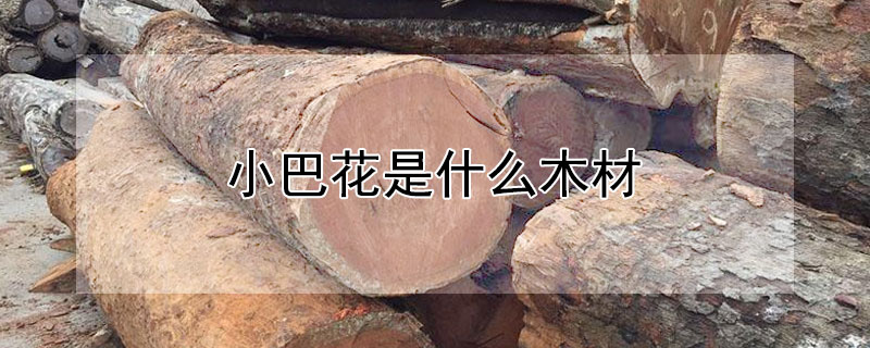 小巴花是什么木材（小巴花是什么木材多少钱1立方）