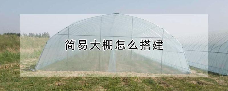 简易大棚怎么搭建 简易大棚怎么搭建图片
