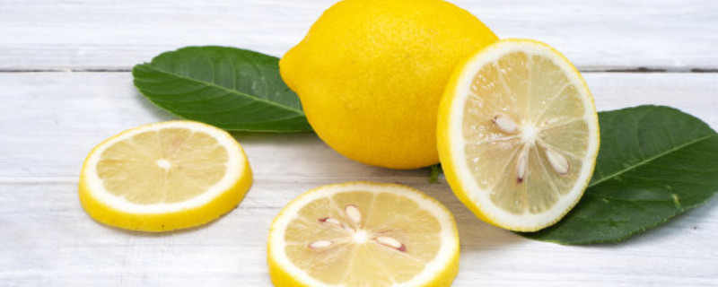 柠檬树冬天落叶吗 香水柠檬树冬天落叶吗