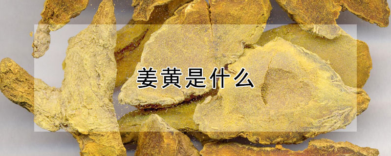 姜黄是什么 姜黄是什么颜色