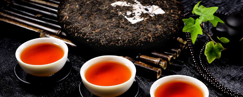 普洱茶树在北方怎样种植 白茶树可以在北方种植吗