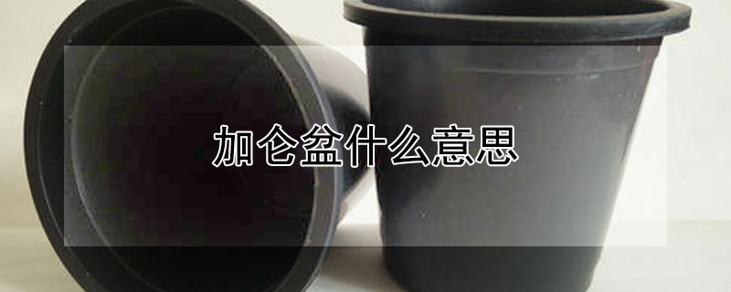 加仑盆什么意思（加仑盆什么意思是什么材料）