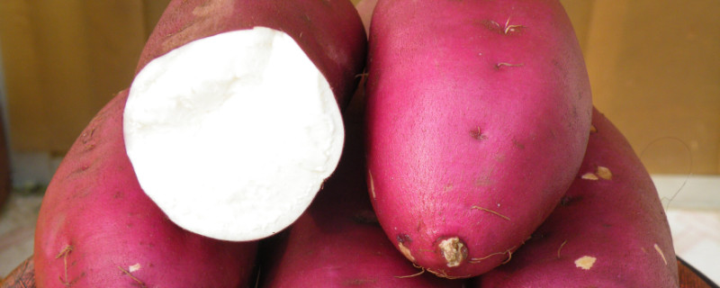 红薯是蔬菜还是水果（红薯是水果类吗?）