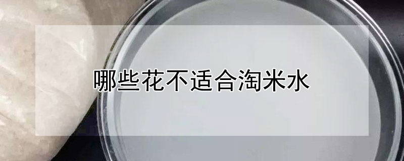哪些花不适合淘米水（哪些花不适合淘米水浇灌）
