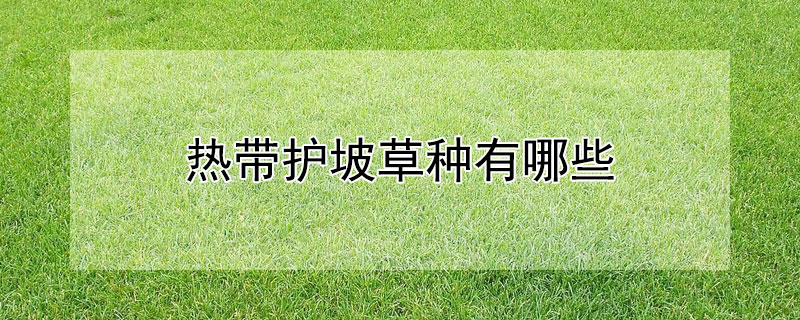 热带护坡草种有哪些 热带护坡草种有哪些种类