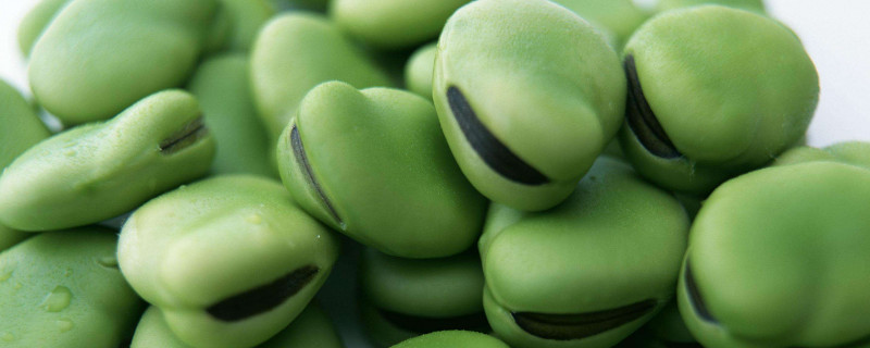 茴香豆是什么豆（茴香豆是什么豆制成的）