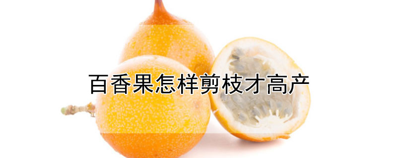 百香果怎样剪枝才高产（百香果如何修剪才高产）