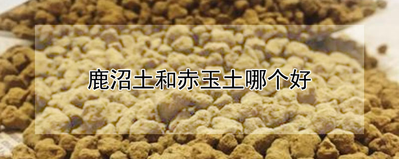 鹿沼土和赤玉土哪个好（鹿沼土和赤玉土哪个好养）