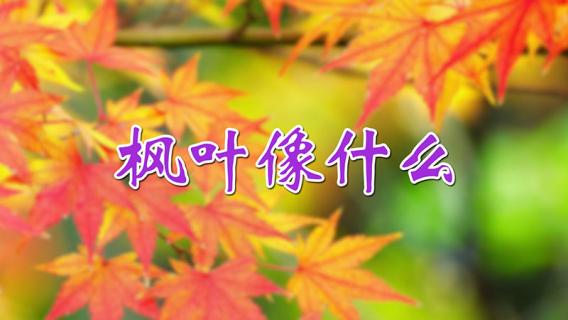 枫叶像什么 枫叶像什么一样飘落下来