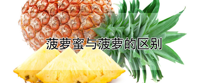 菠萝蜜与菠萝的区别 菠萝蜜与菠萝的区别图片
