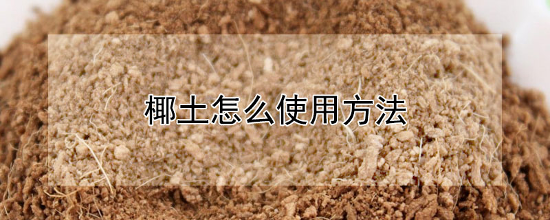 椰土怎么使用方法（椰土怎么使用方法视频）