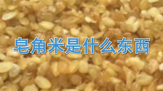 皂角米是什么东西 皂角米是什么东西做成的