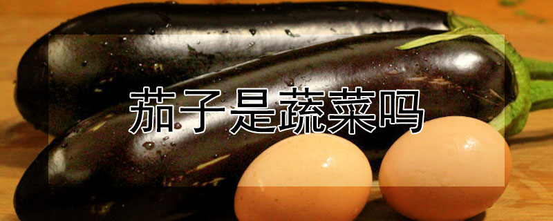 茄子是蔬菜吗 茄子是蔬菜吗碳水含量高吗