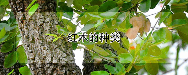 红木的种类（红木的种类排名及价格表）