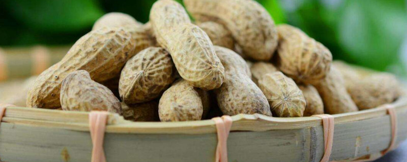 花生怎么种植才能高产（花生如何种植才能高产）