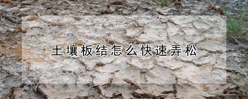 土壤板结怎么快速弄松（土壤板结怎么快速弄松一点）