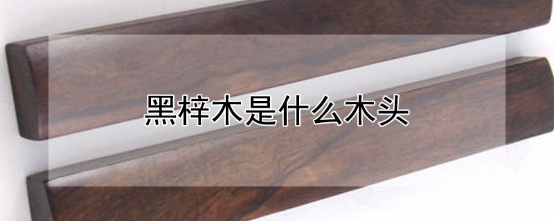 黑梓木是什么木头（黑梓木是什么木头沉不沉）