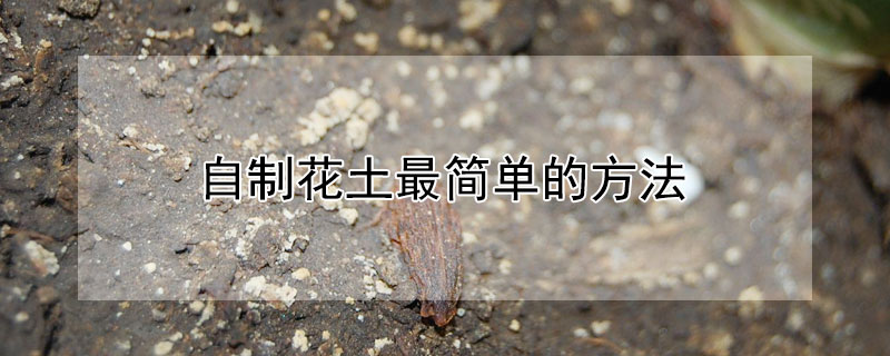 自制花土最简单的方法（自制花土最简单的方法是什么）
