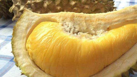 榴莲怎么挑（榴莲怎么挑选）