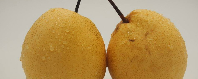 梨的吉祥寓意（梨的吉祥寓意及象征）