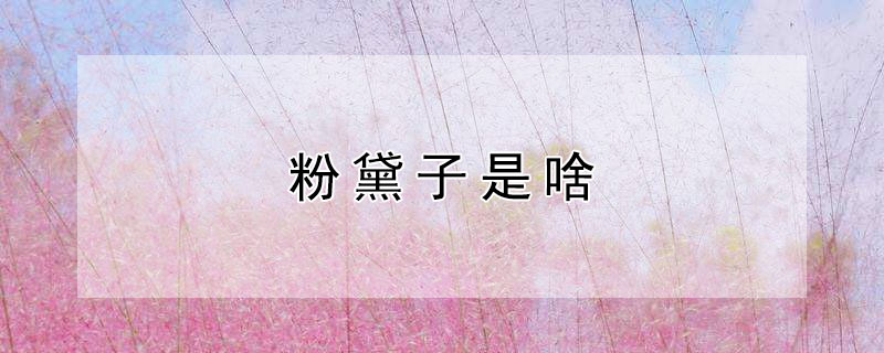 粉黛子是啥 粉黛是什么