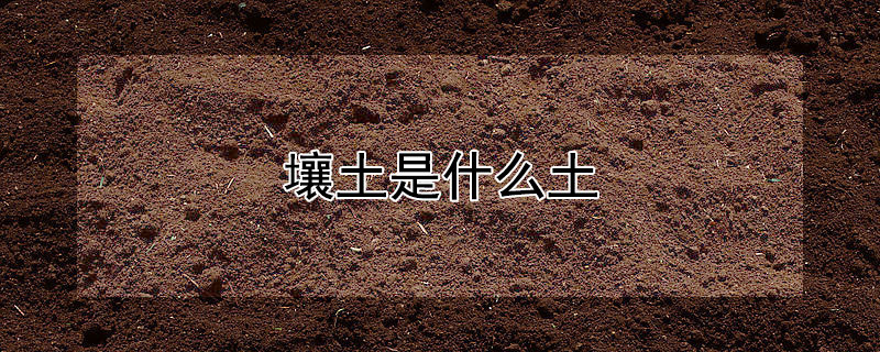 壤土是什么土 壤土是什么?
