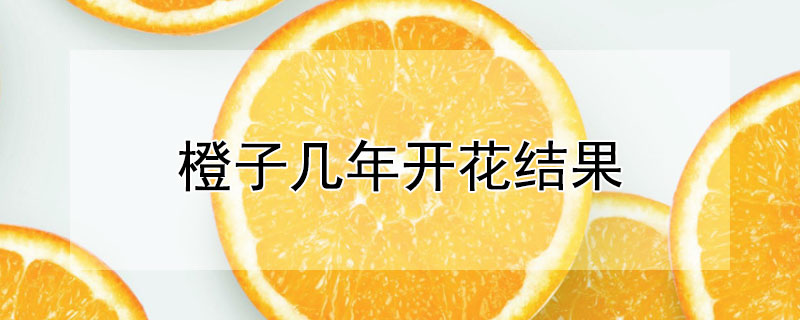 橙子几年开花结果（橙子几年才开花结果）