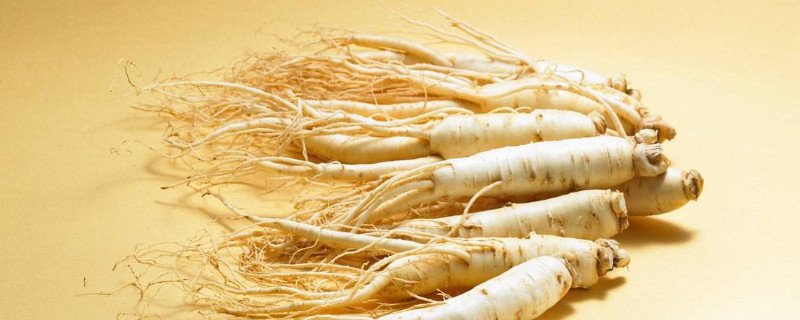 人参是苦的吗（人参是苦的吗能吃吗）