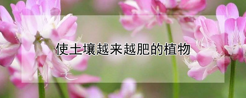 使土壤越来越肥的植物 使土壤越来越肥的植物叫什么