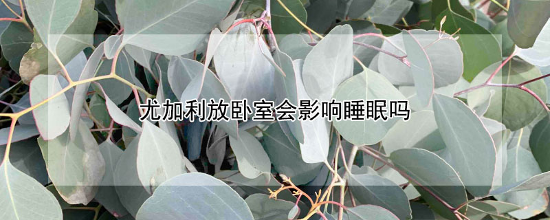 尤加利放卧室会影响睡眠吗 尤加利放卧室注意事项