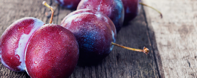 嘉庆子是什么水果 嘉庆子水果树