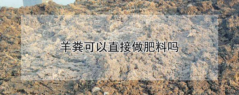 羊粪可以直接做肥料吗 羊粪怎样做肥