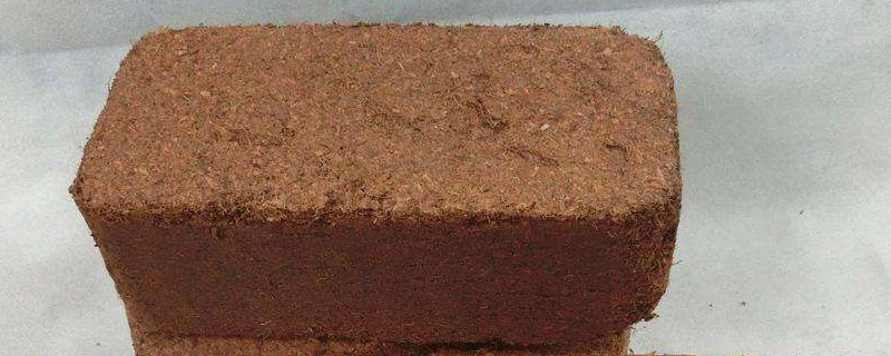 椰砖种多肉的使用方法 椰砖养多肉的使用方法