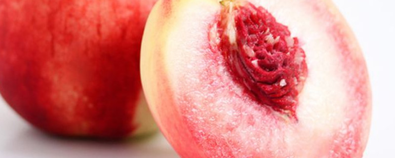 桃子种类（云南富源桃子种类）