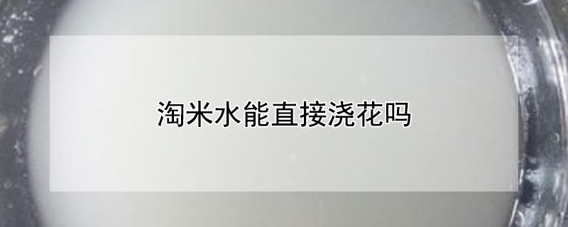 淘米水能直接浇花吗 淘米水能直接浇花吗?