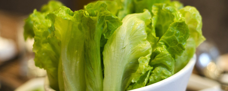 水培蔬菜哪个最快 水培蔬菜哪个最快发芽