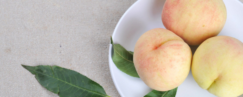 粉色的水果有什么水果 粉色的水果有什么水果图片