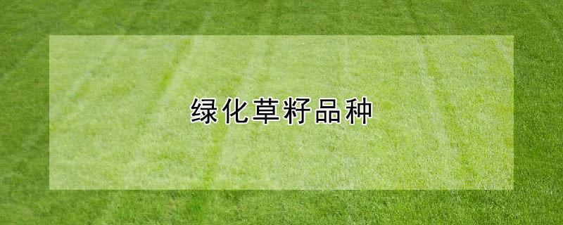 绿化草籽品种（绿化草籽品种图片）