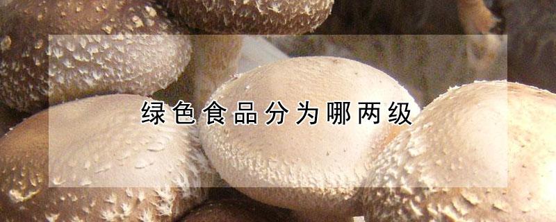 绿色食品分为哪两级（绿色食品标准分为两个等级）