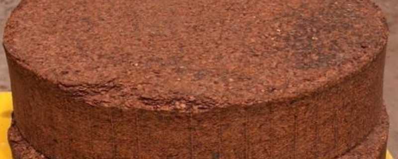 豆饼不发酵能施肥吗 豆饼不发酵可以直接做底肥吗