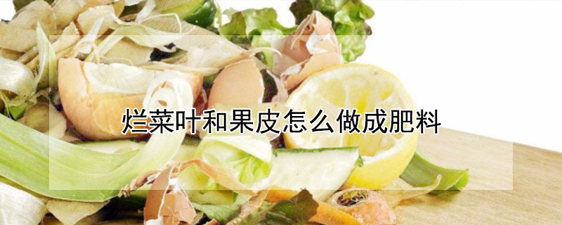 烂菜叶和果皮怎么做成肥料 烂菜叶和果皮怎么做成肥料呢