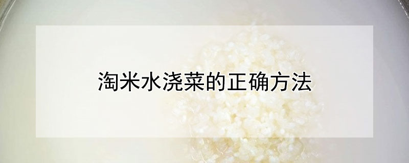 淘米水浇菜的正确方法（淘米水浇菜的正确方法,你用对了吗?）