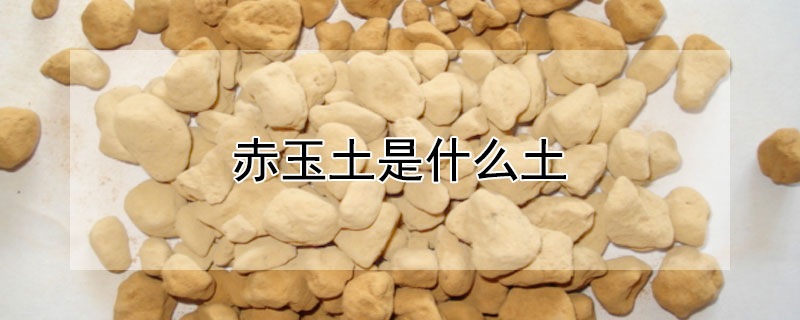 赤玉土是什么土 赤玉土是什么土哪里有