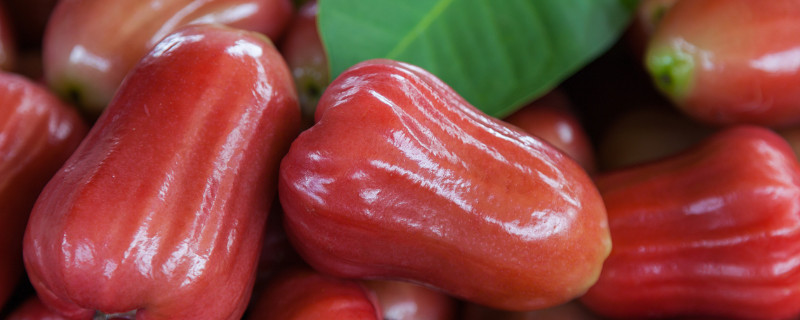 莲雾是什么水果 莲雾是什么水果?