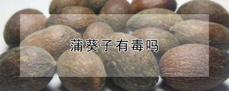 蒲葵子有毒吗（蒲葵子的功效与作用及禁忌）