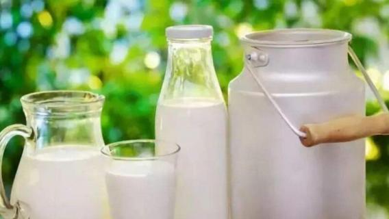 过期牛奶可以浇花吗 过期牛奶可以浇花吗过期牛奶怎么用不废