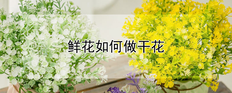 鲜花如何做干花（鲜花如何做干花?）